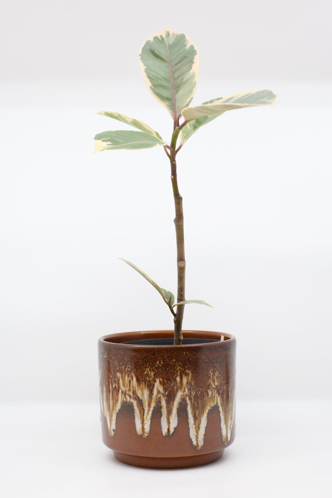FAT LAVA Planter “Jasba
