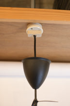 Pendant Lamp “Peill & Putzler”