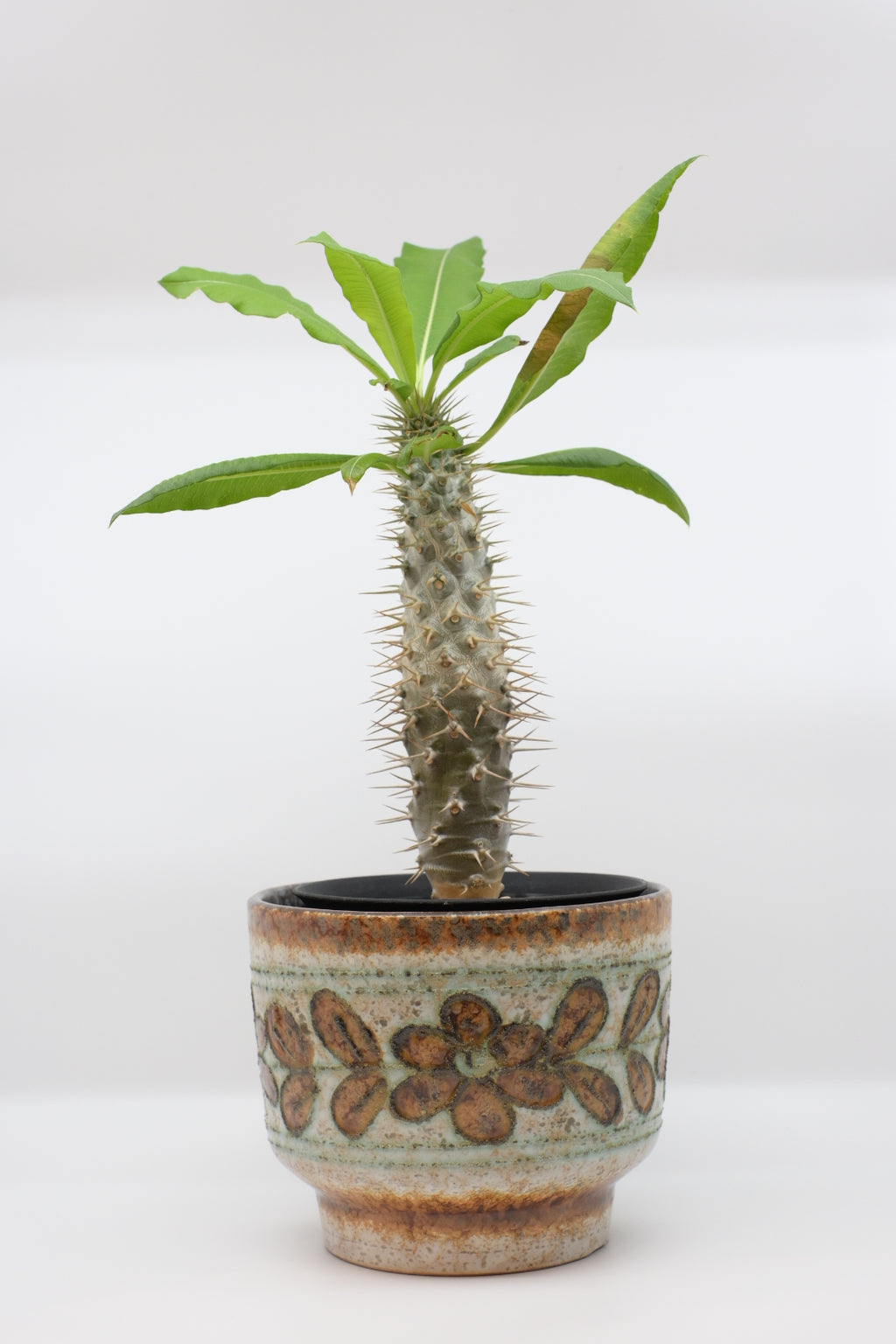 FAT LAVA Planter “Strehla”