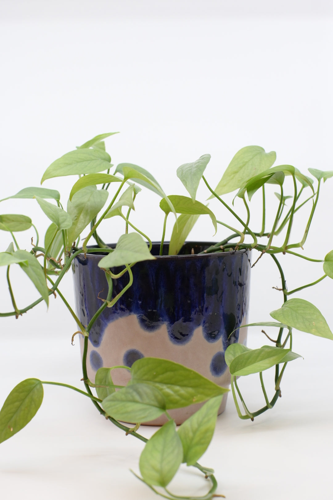 FAT LAVA Planter “Marei Keramik”