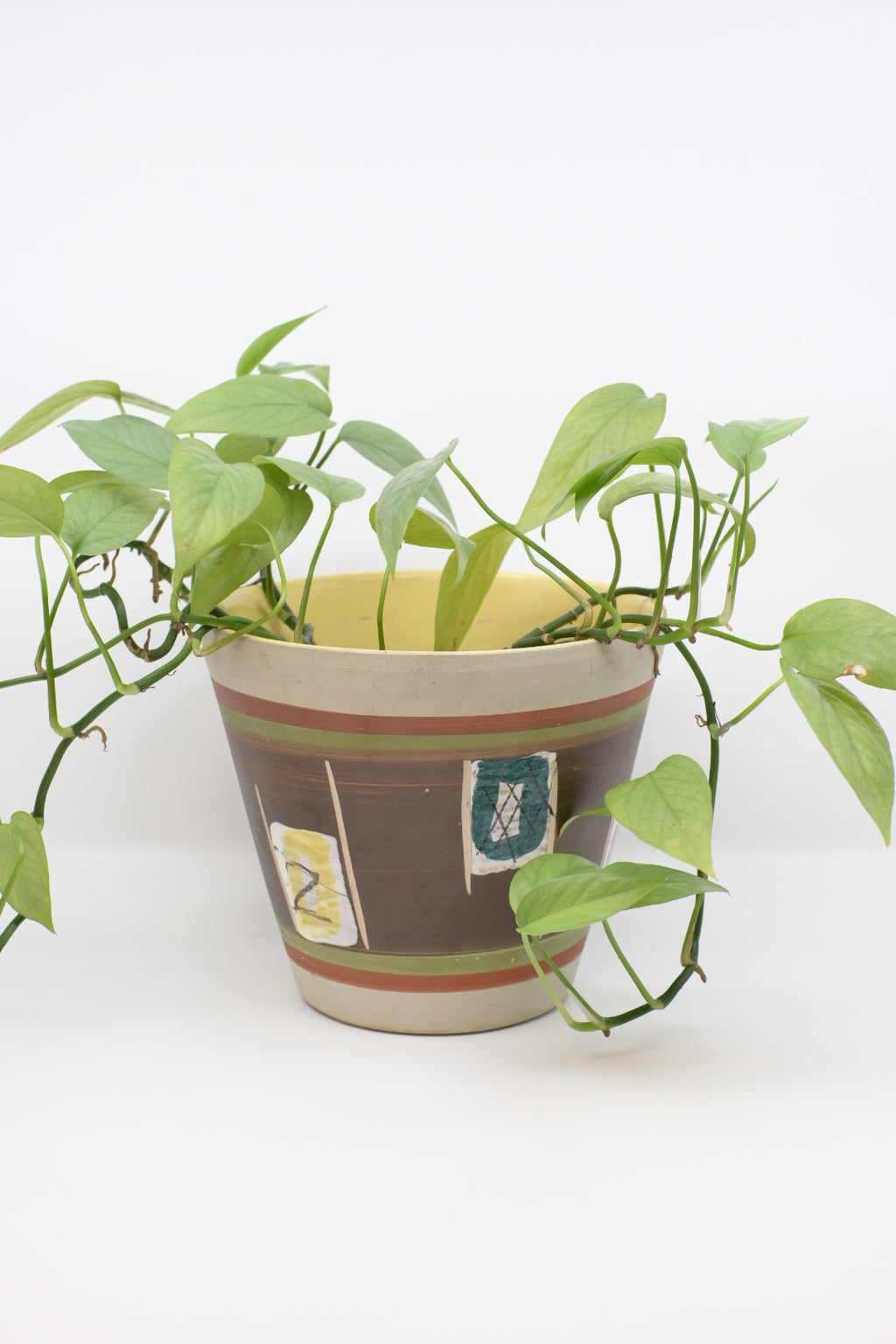 FAT LAVA Planter "BAY Keramik"