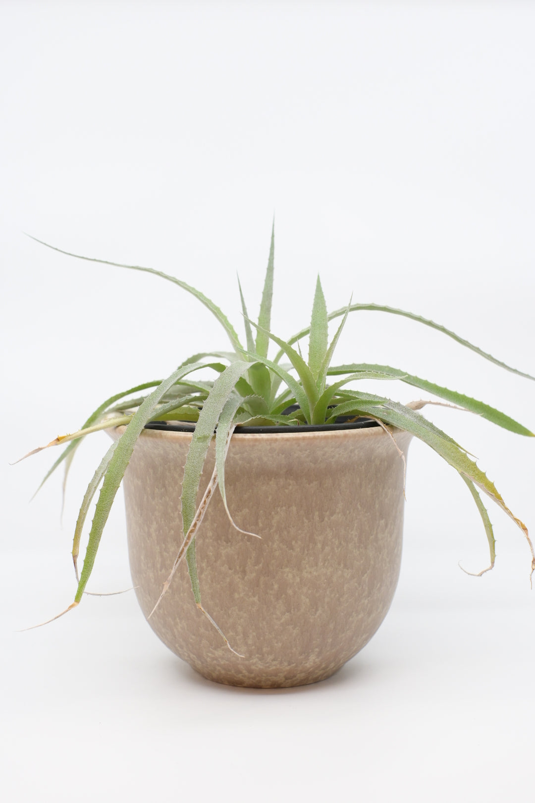 FAT LAVA Planter “Dümler & Breiden 542/16"