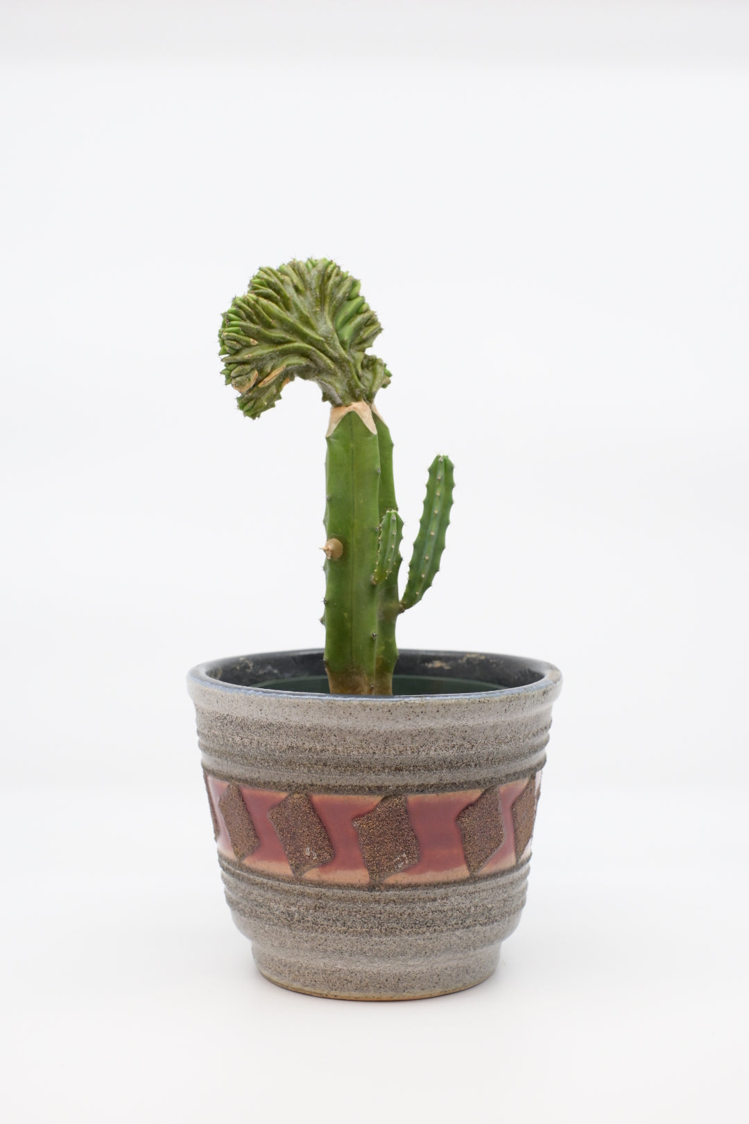 FAT LAVA Planter "unKnown"