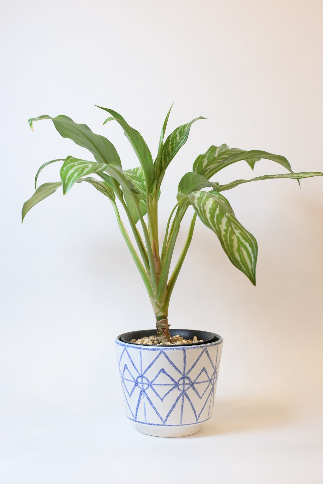 FAT LAVA Planter "ES keramik"