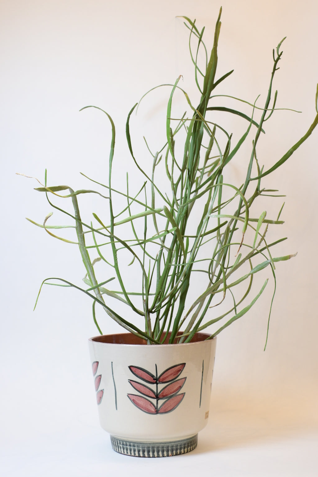 Ceramic Planter "BOCH"