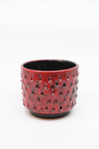 Ceramic Planter "Fratelli Fanciullacci"