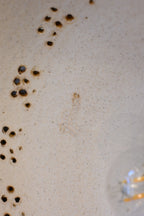 Ceramic Pendant Lamp  "Jette Hellerøe" for Axella