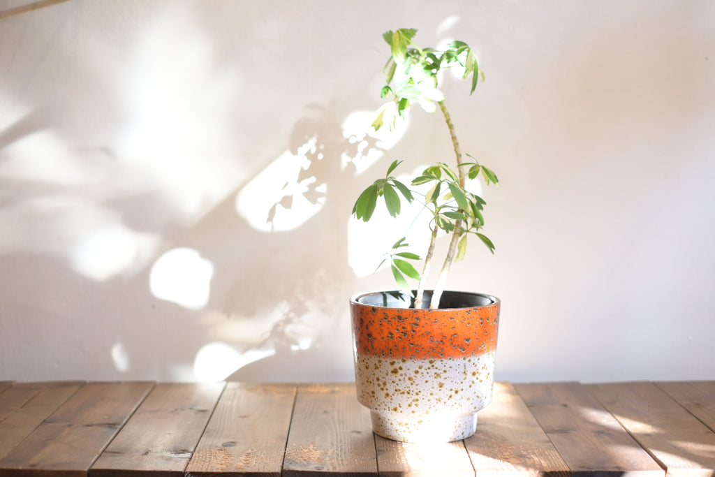 FAT LAVA Planter "Marei Keramik"