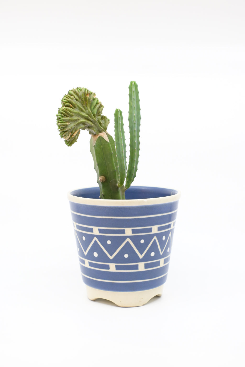 Ceramic Planter  "SØHOLM - Rigmor Nielsen"