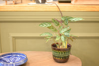 FAT LAVA Planter "BAY Keramik 44 12"