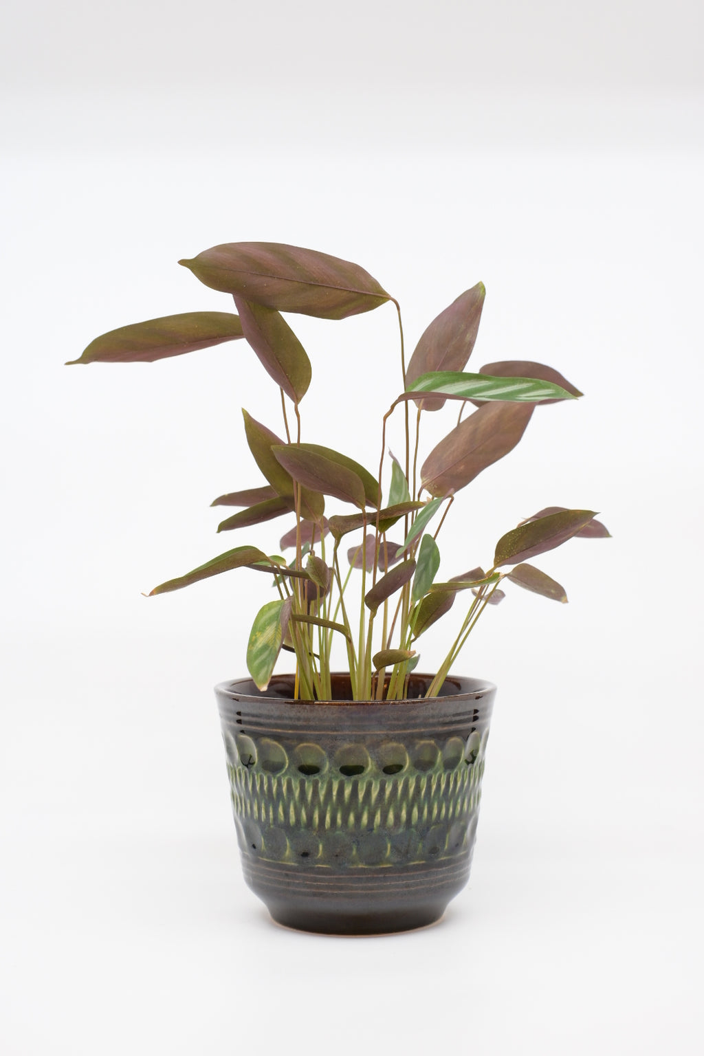 FAT LAVA Planter "BAY Keramik 44 12"