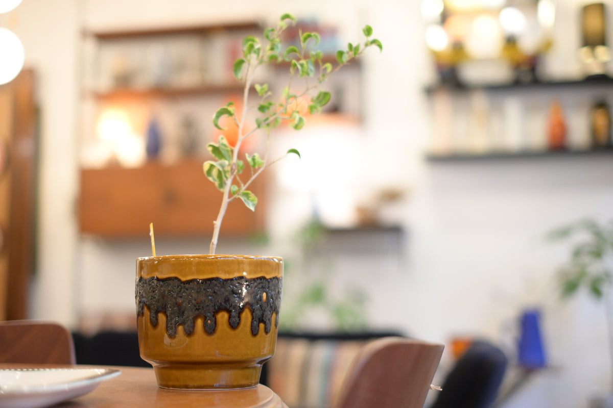 FAT LAVA Planter " BAY Keramik "